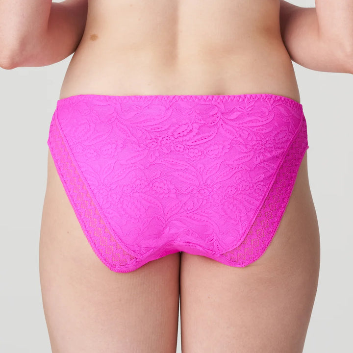 PrimaDonna Twist - Palermo Rio Briefs Cactus Flower