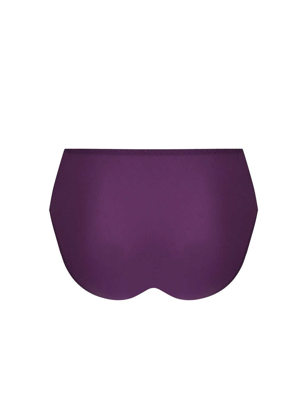 Antigel by Lise Charmel - Atelier Seduction High Waisted Brief Prune Magic